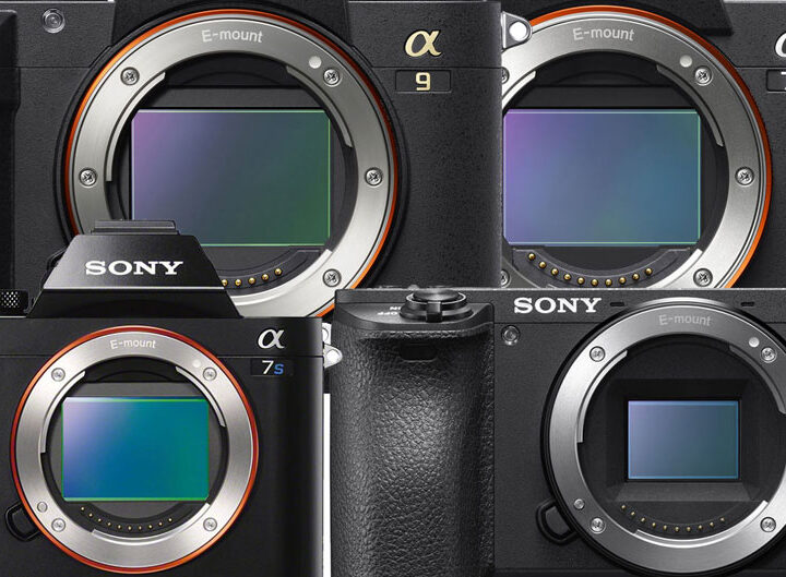 A Guide to the Sony Alpha series (E-mount) image