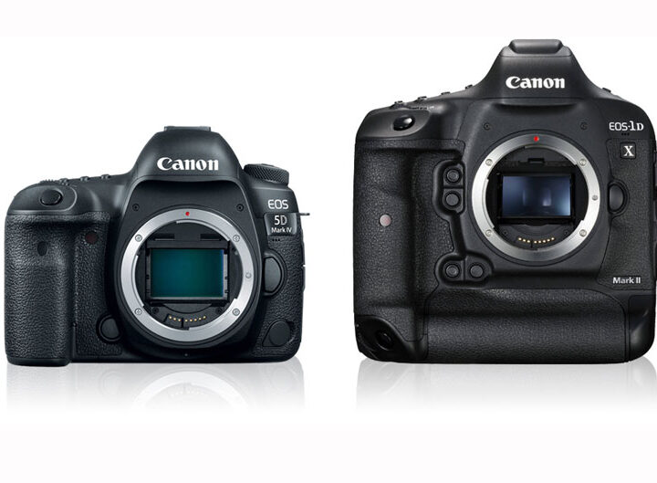 Canon EOS 5D Mark IV versus Canon EOS-1D X Mark II for video image