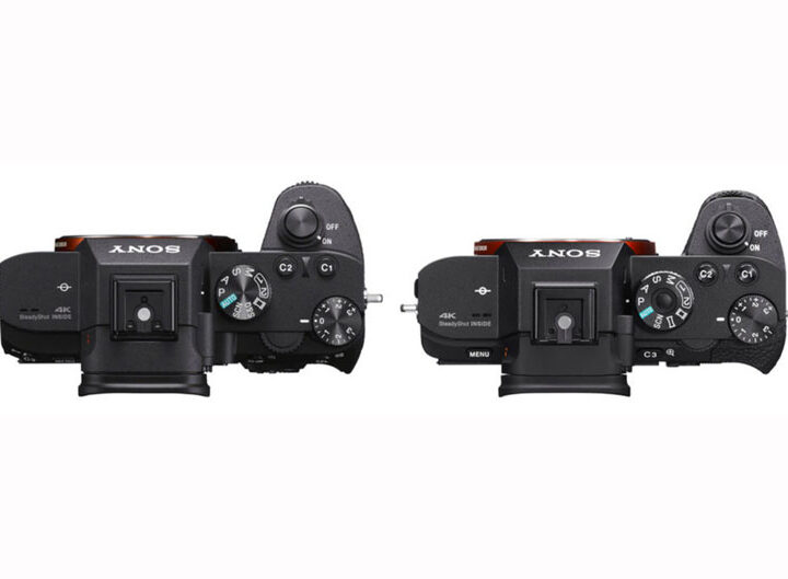 Sony A7S II vs Sony A7 III: Which should you use for video image